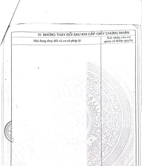 gen-n-z6905171888067_049bf8b0fee7878825a73b9234dabadf.jpg