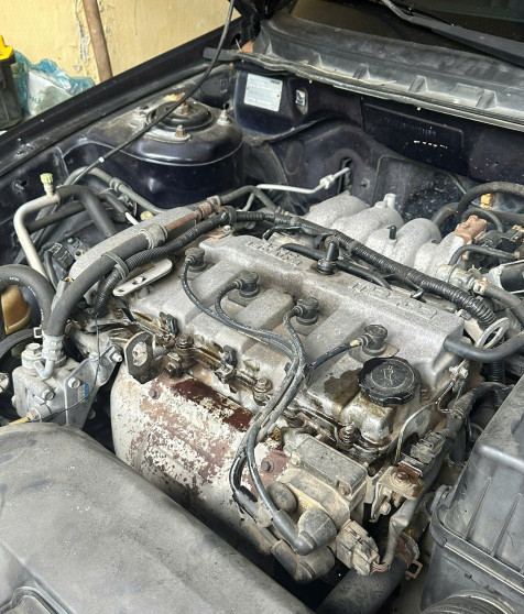 z7295246314147_f9dd8f49214fe88e648947e647b3a97e.jpg