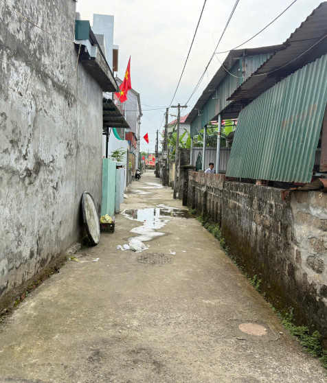 6c2fad311270932eca61.jpg