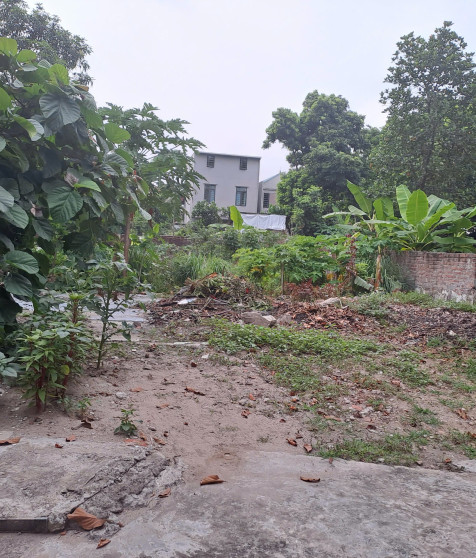 01 quyền sử dụng đất